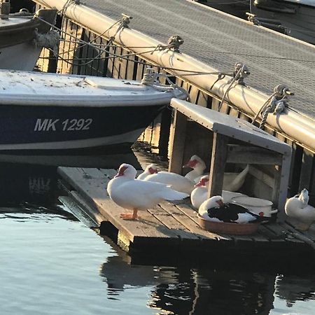 Apartment Aquamarin, Blizu Mora S Pogledom Na More, Za Do 6 Osoba Malinska Buitenkant foto