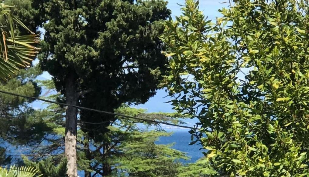 Apartment Aquamarin, Blizu Mora S Pogledom Na More, Za Do 6 Osoba Malinska Buitenkant foto