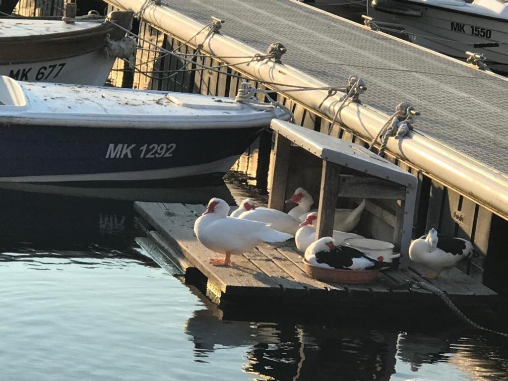 Apartment Aquamarin, Blizu Mora S Pogledom Na More, Za Do 6 Osoba Malinska Buitenkant foto